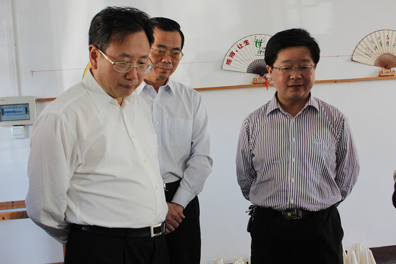 省委常委、副省長陳樹隆來宣紙文化園參觀指導